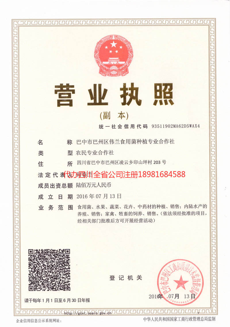 大庆大庆伟兰食用菌种植专业合作社